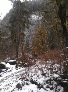 Middle Fork Sno River
