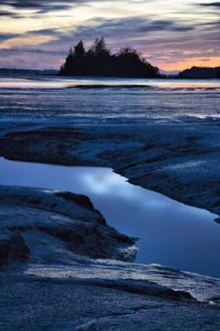 baby island